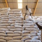 World Food Programme (WFP) staff members load bags of split yellow peas onto a truck in a WFP warehouse based in El Fasher, North Darfur, Sudan.