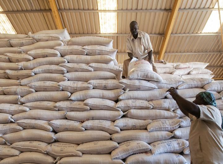 World Food Programme (WFP) staff members load bags of split yellow peas onto a truck in a WFP warehouse based in El Fasher, North Darfur, Sudan.