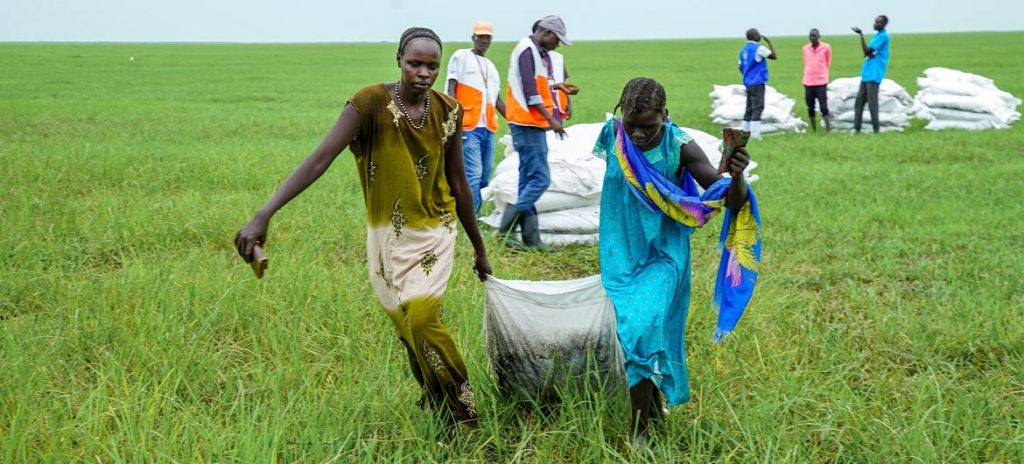 Airdrops in Nyueny, Upper Nile state, South Sudan.
