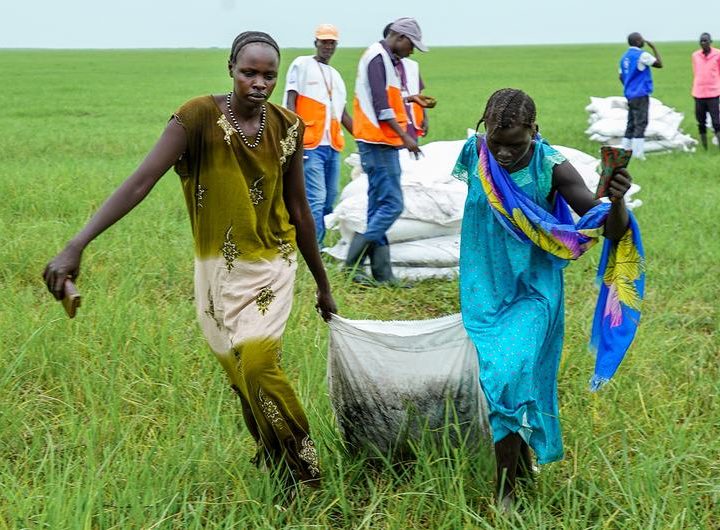 Airdrops in Nyueny, Upper Nile state, South Sudan.